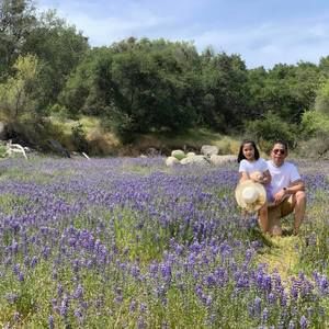 Meet your Posher, Tulus